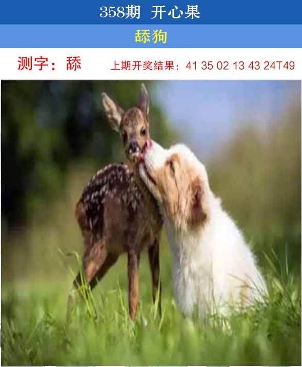 358期开心果[图]