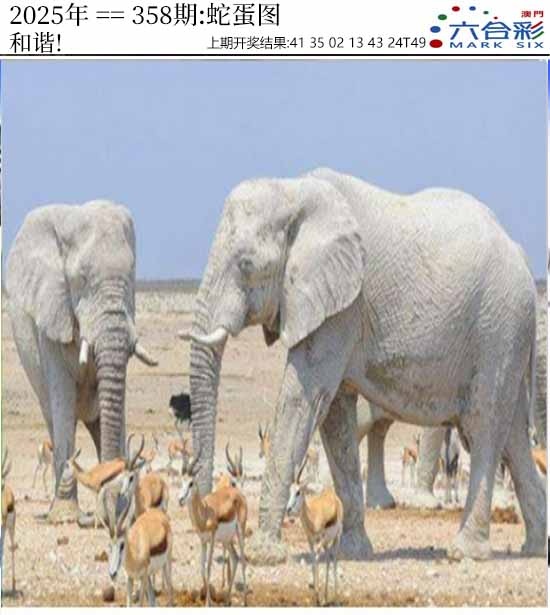 358期正版蛇蛋图[图]