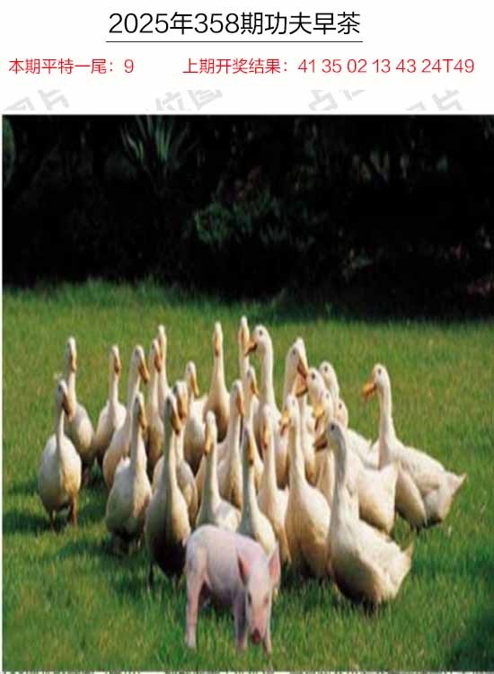 358期功夫早茶[图]