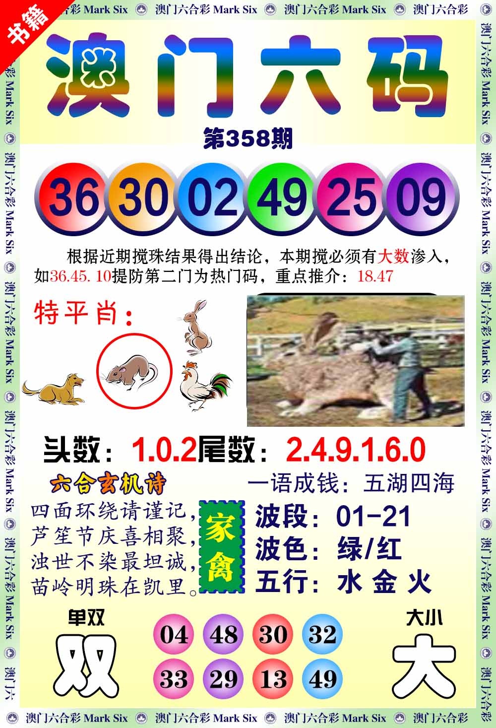 358期澳门望子成龙[图]