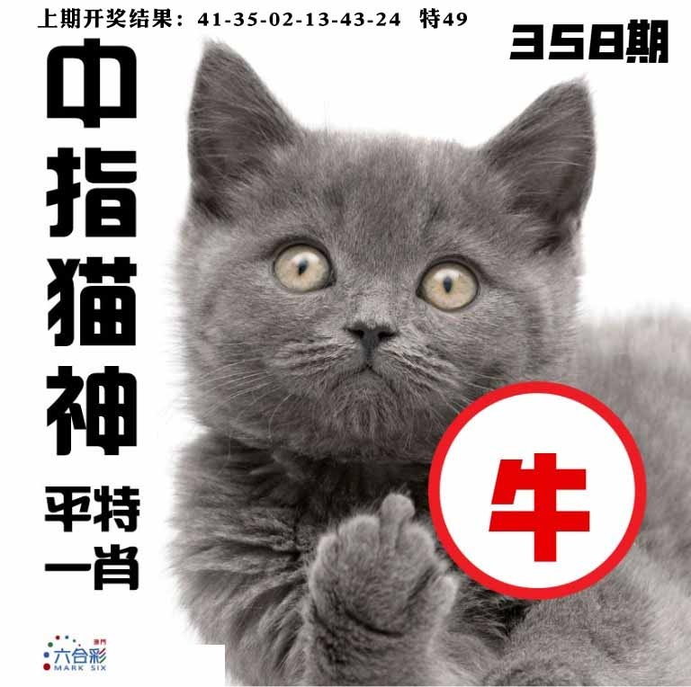 358期中指猫神[图]