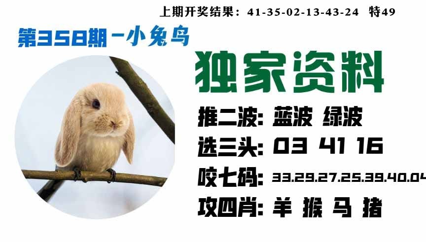 358期小兔鸟[图]